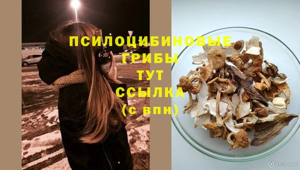 МДПВ Верхнеуральск