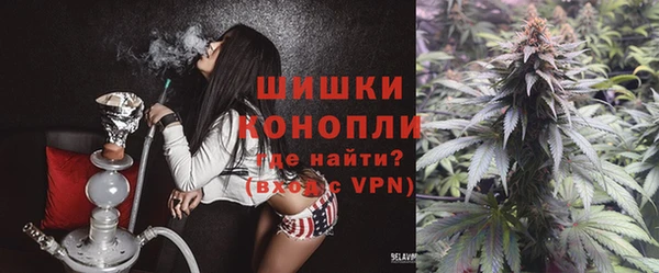 ECSTASY Михайлов