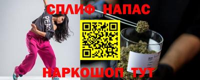 ешки Гай