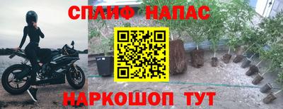 метадон Гатчина