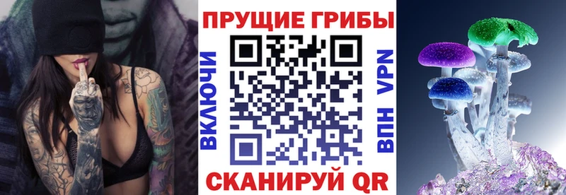 Псилоцибиновые грибы мухоморы  закладка  Волжский 