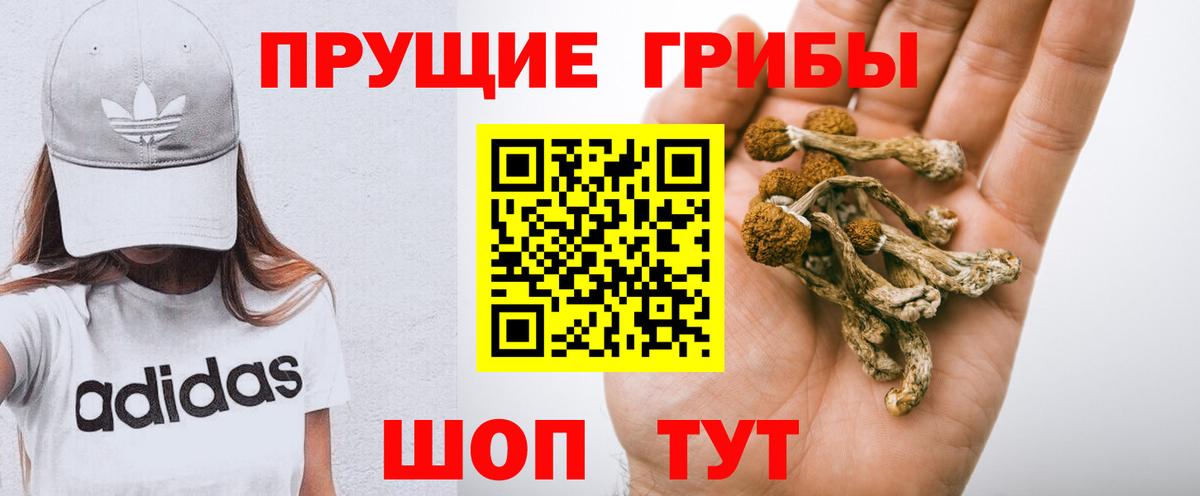 Галлюциногенные грибы GOLDEN TEACHER  Псилоцибиновые грибы MAGIC MUSHROOMS  Волжский 